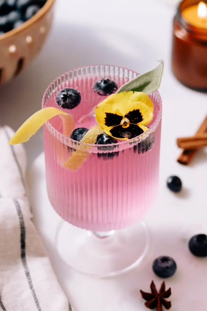 Spiced Blueberry Empress Gin cocktail