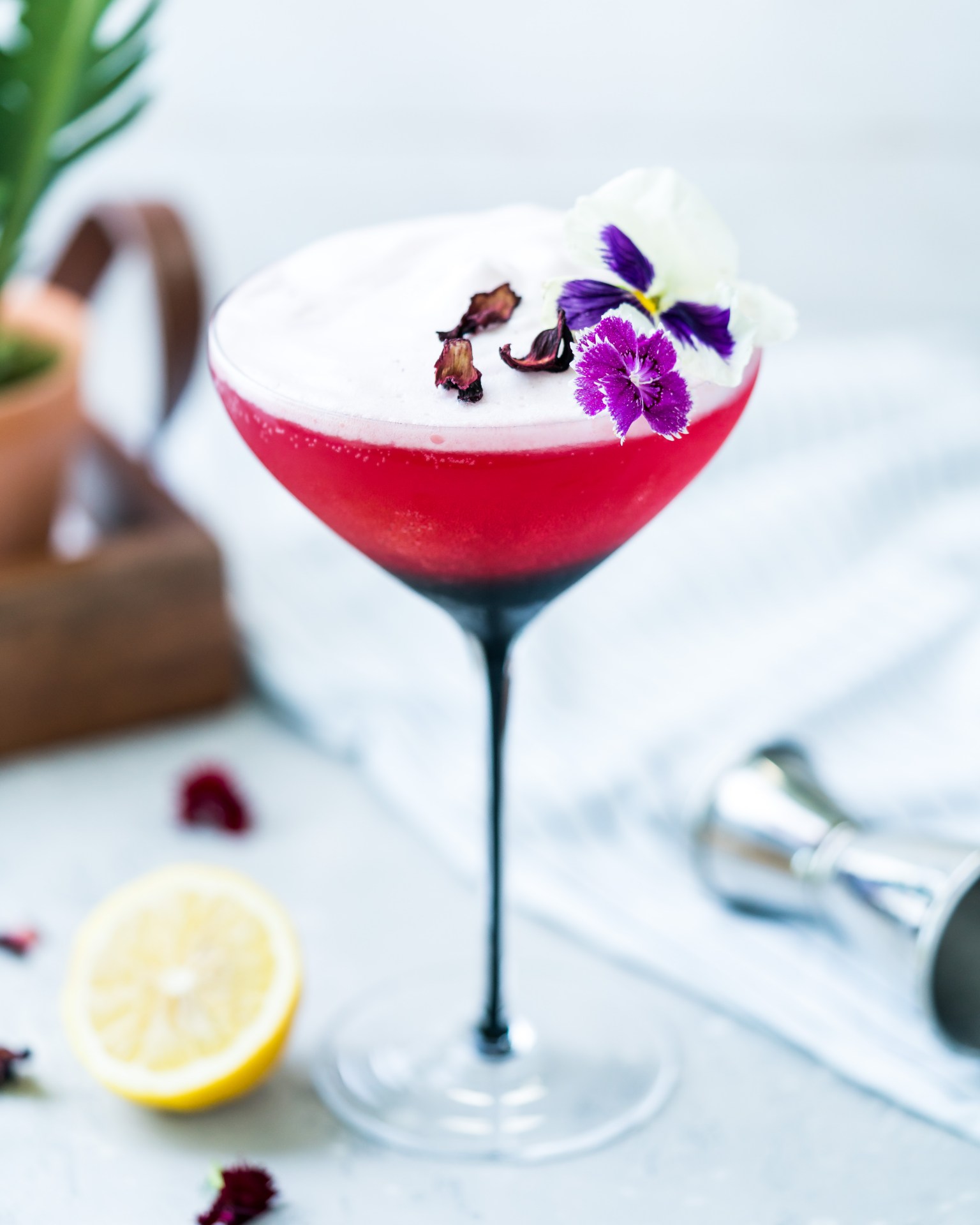 Hibiscus Gin Sour