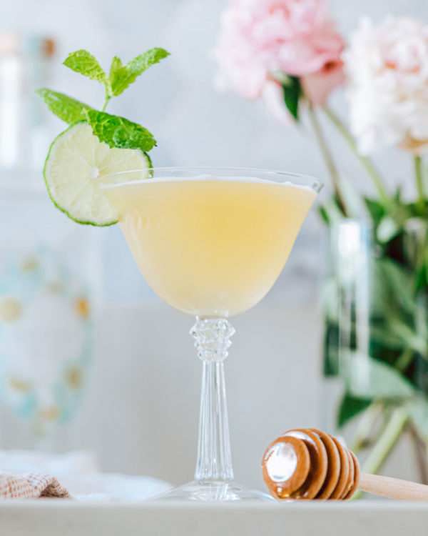 Coconut Water Gimlet | The Social Sipper