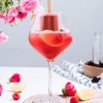 Hibiscus Popsicle Punch Mocktail