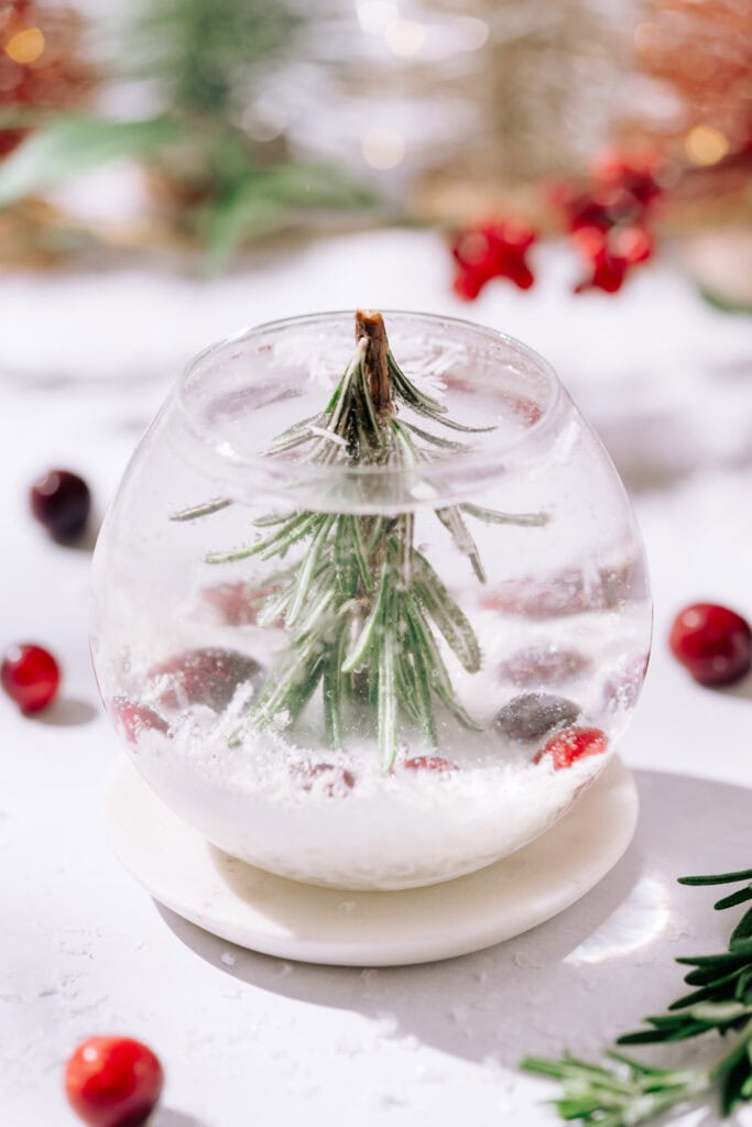 snowglobe rosemary collins