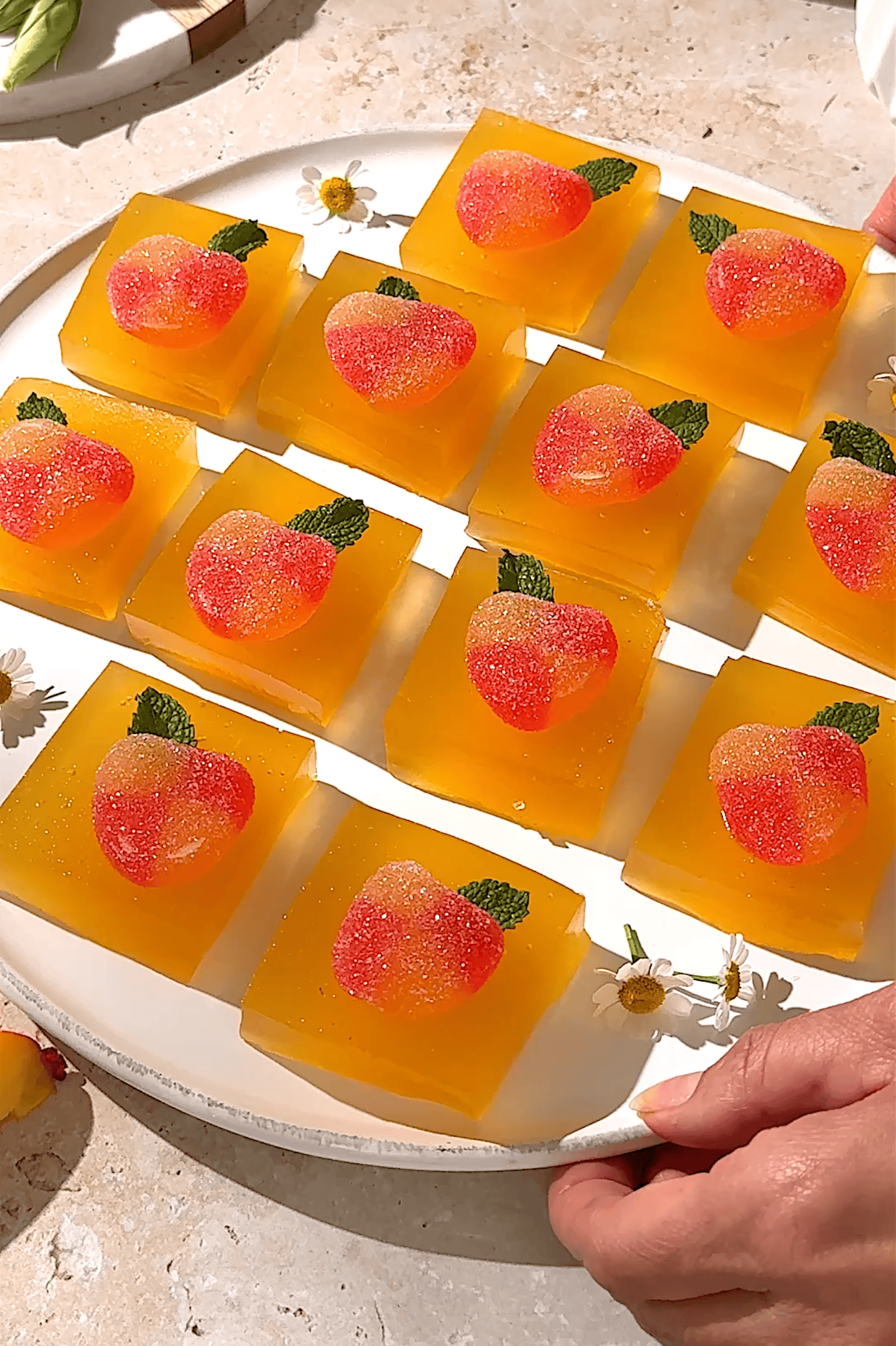 Peach Bellini jello shots topped with sugared peach slices and fresh mint.