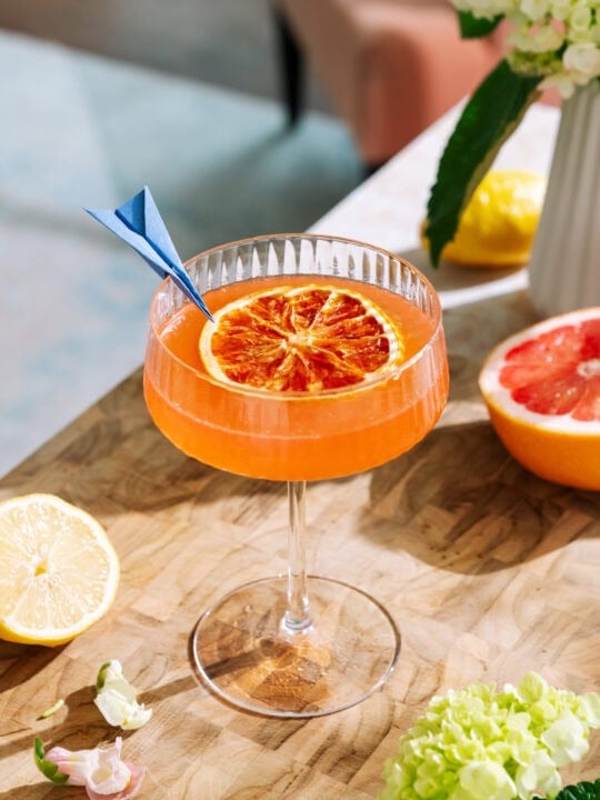 Vibrant orange cocktail in tall glass with dried citrus slice garnish on a wooden table.